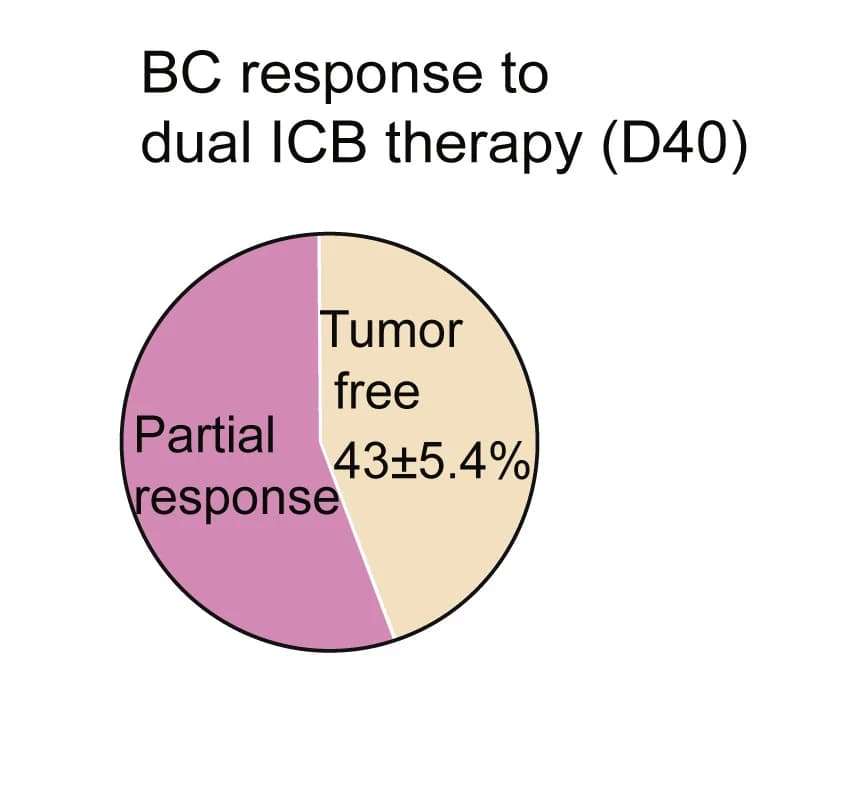 Open access visualization of Pie Chart, Tumor-free mice