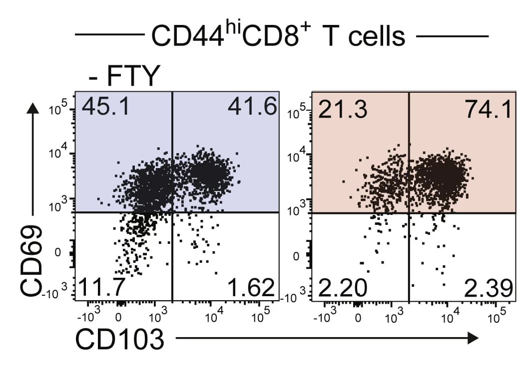 Open access visualization of Scatter Plot, CD69, CD103, CD8+ T cells, Local MFP