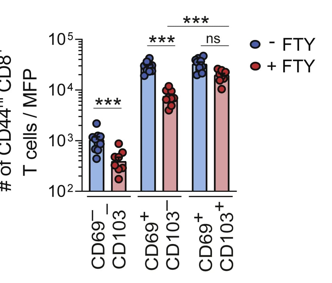 Open access visualization of Bar Plot, Scatter Plot, CD69−CD103−(TCIRC), CD69+CD103−(TEX), CD69+CD103+(TRM-like) cells