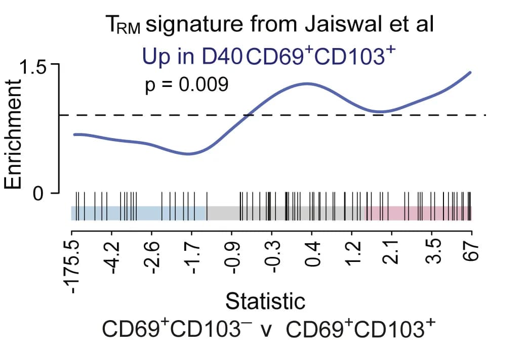 Open access visualization of Line Plot, GSEA, CD69+CD103-, CD69+CD103+CD44hiCD8+T cells, MFP tissue