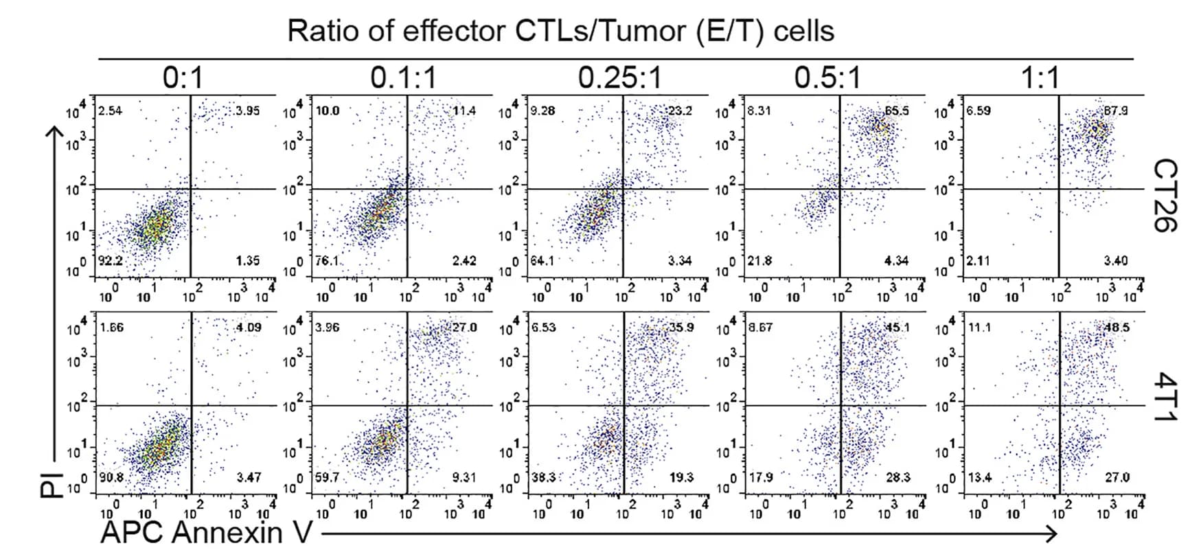 Open access visualization of Scatter Plot, Tumor Cell Apoptosis, CTL, CD8alpha Cells
