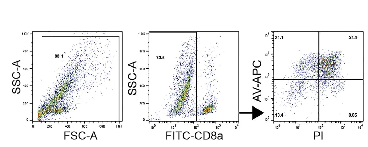 Open access visualization of Scatter Plot, Gating Strategy