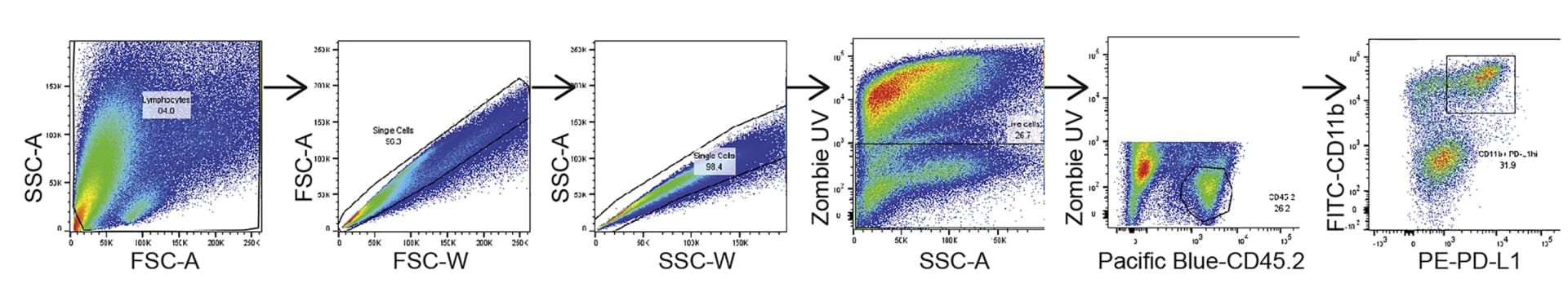 Open access visualization of Scatter Plot, Tumor-bearing Lungs, Myeloid PD-L1+ Population, Gating Strategy