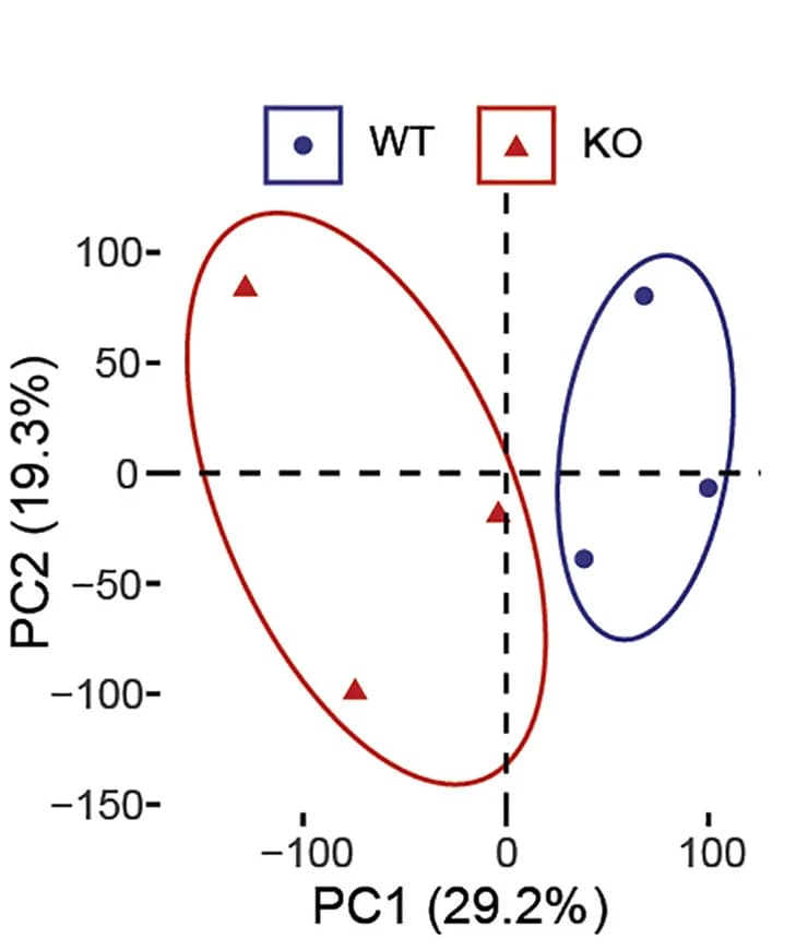 Open access visualization of Scatter Plot, PCA, Principal Component Analysis