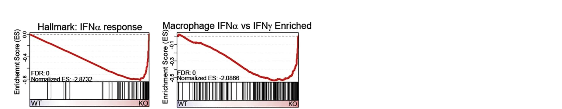 Open access visualization of Line Plot, Enrichment Plot, Gene Signatures