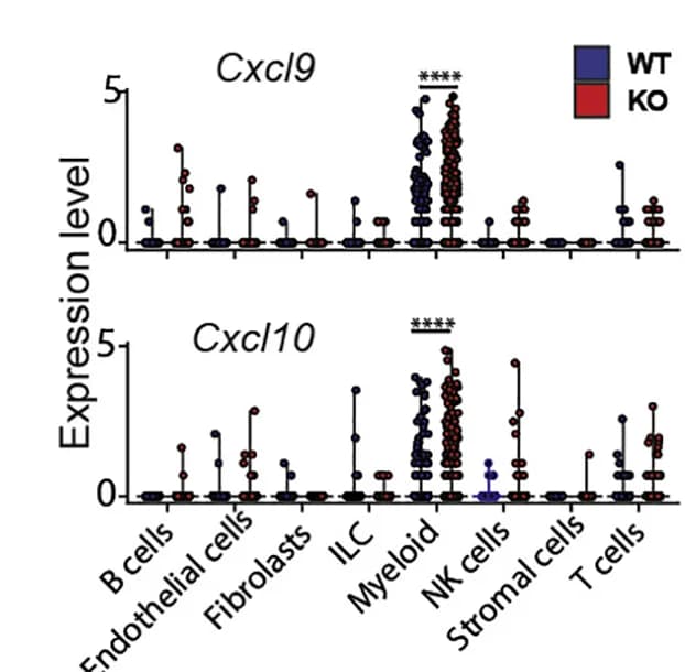Open access visualization of Scatter Plot, Dot Plots, Transcripts, Cell Subpopulations