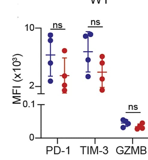 Open access visualization of Scatter Plot, Error Bars, Surface Marker Expression, CTLs, Lung Metastases