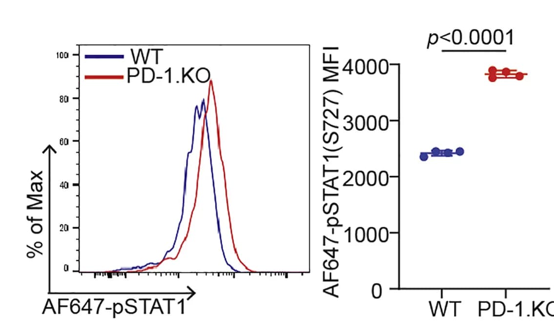 Open access visualization of Line Plot, Scatter Plot, Error Bars, BMDM, WT Mice