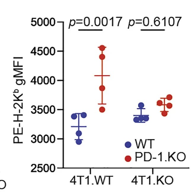 Open access visualization of Scatter Plot, Error Bars, BMDM, WT B6 Mice, Pdcd1KO Mice