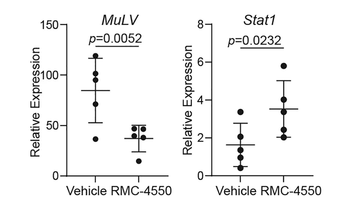 Open access visualization of Scatter Plot, Error Bars, 4T1.WT Cell Line, Mouse Lung, RMC-4550