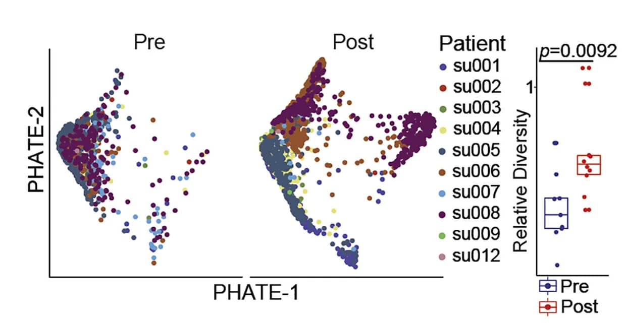 Open access visualization of Scatter Plot, Box Plot, PHATE Projection, Metastatic Basal Cell Cancer, PD-1 Blockade