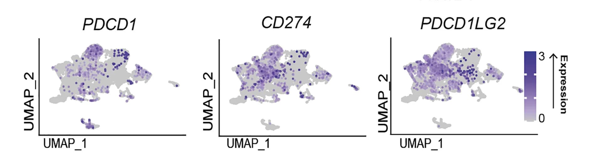 Open access visualization of Scatter Plot, UMAP, UMAP Plot, Locally Invasive, Metastatic