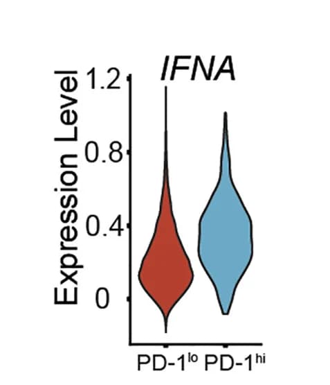 Open access visualization of Violin Plot, Ifna Signature, Cell Populations