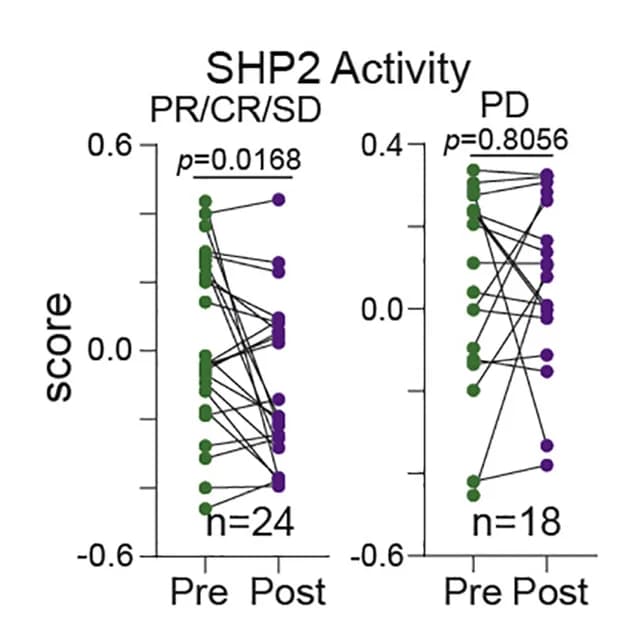Open access visualization of Scatter Plot, Correlation, Signatures, Nivolumab Therapy