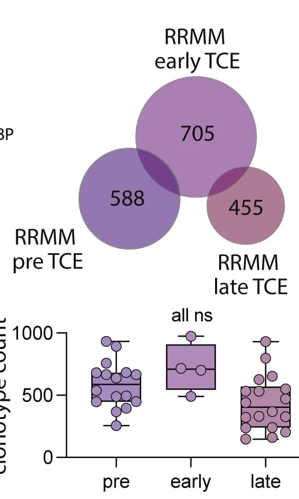 Open access visualization of Venn Diagram, Box Plot, Scatter Plot, TCR Clonotypes, Bone Marrow