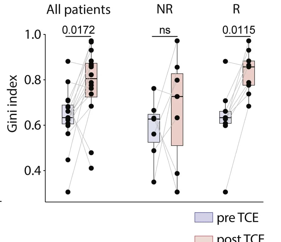 Open access visualization of Box Plot, Scatter Plot, Gini Index, TCR Clonal Space, Multiple Myeloma
