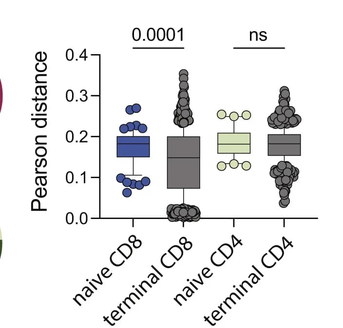 Open access visualization of Box Plot, Scatter Plot, Raincloud Plot, Pearson Distance, Gene Expression