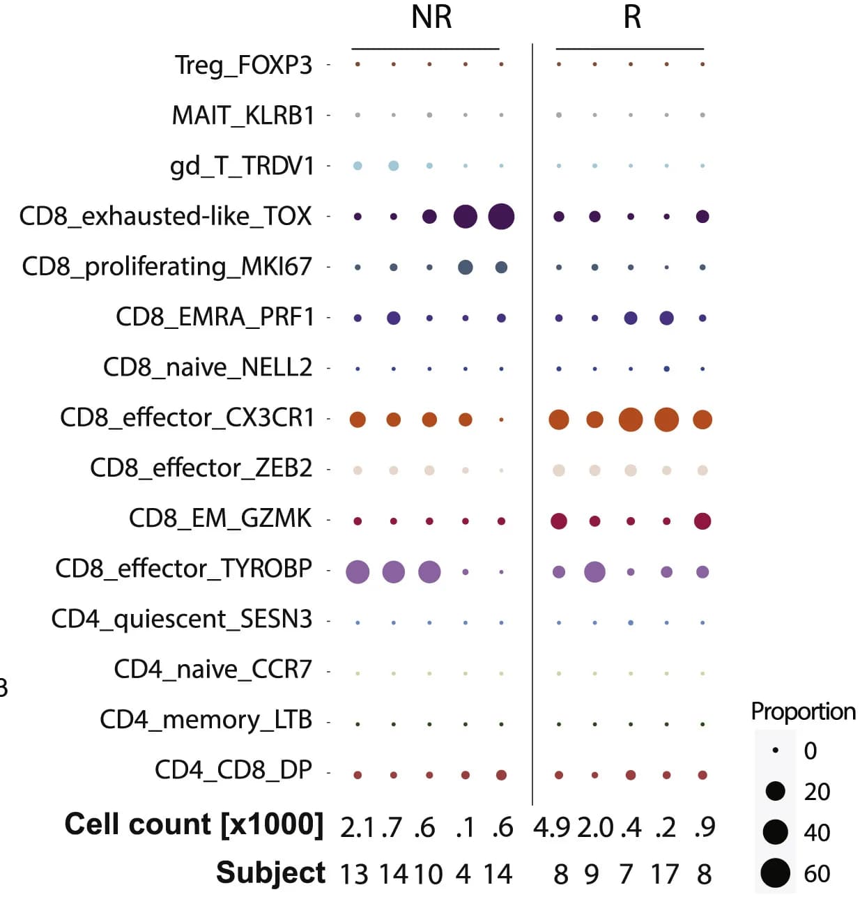 Open access visualization of Bubble Plot, Dot Plot, TCRs, Clone Size, RRMM Patients