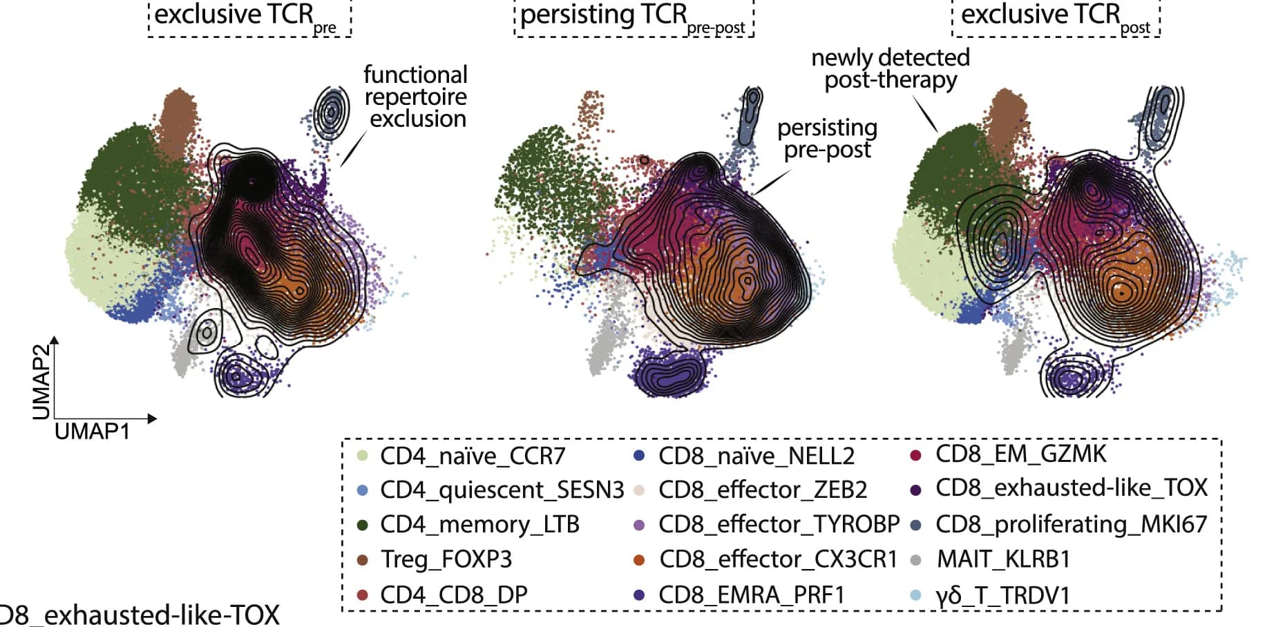 Open access visualization of UMAP, Scatter Plot, Density Plot, T Cells, TCRs
