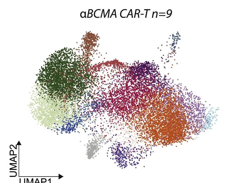 Open access visualization of UMAP, T Cells, Cell Clusters