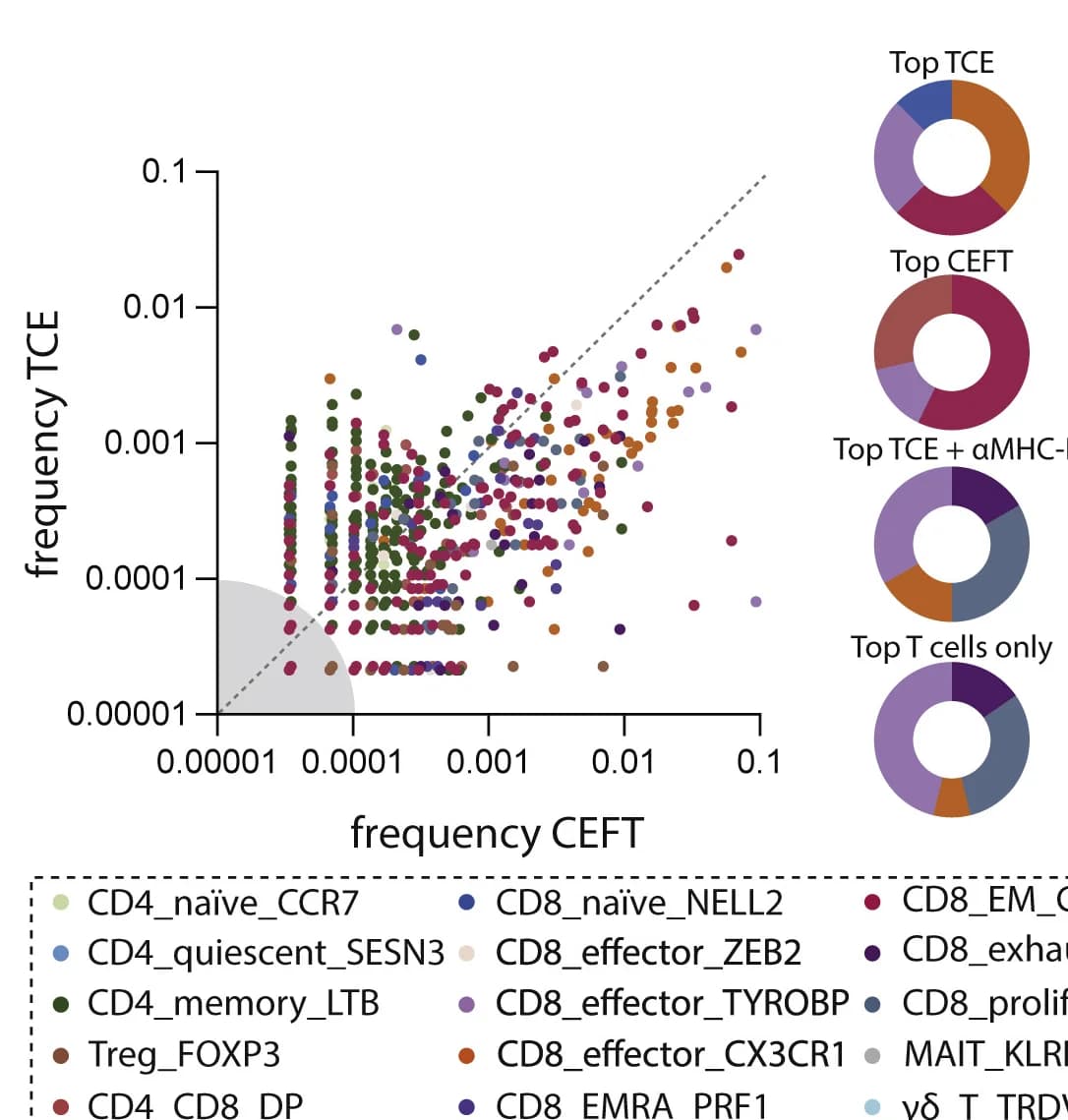 Open access visualization of Scatter Plot, Pie Chart, Clonotype Expansion, T Cells, TCE