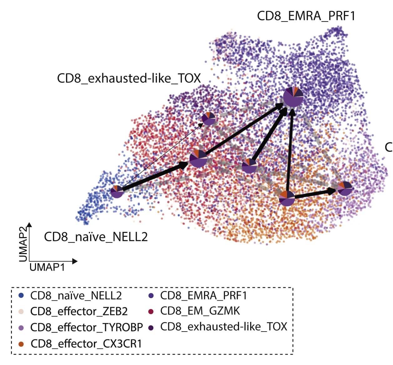 Open access visualization of UMAP, Scatter Plot, Pie Chart, Sankey, Cell Fate Map