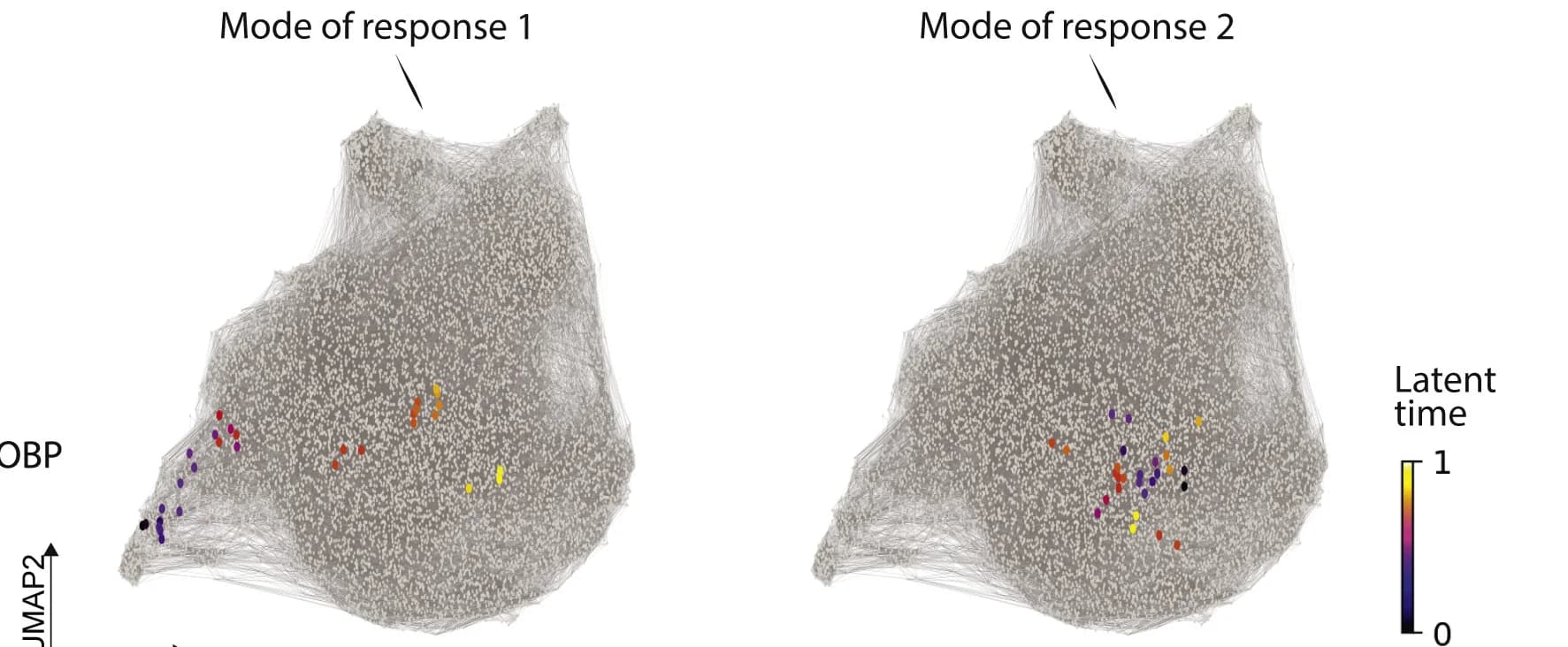 Open access visualization of Scatter Plot, UMAP, Network, Lineage Tracing, TCE