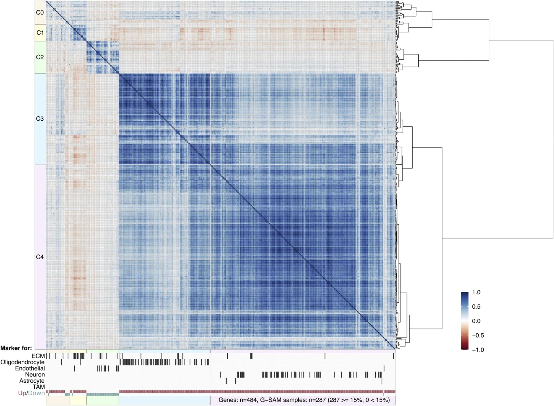 Open access visualization of Heatmap, Clustered, Expression Data, Clusters, Markers
