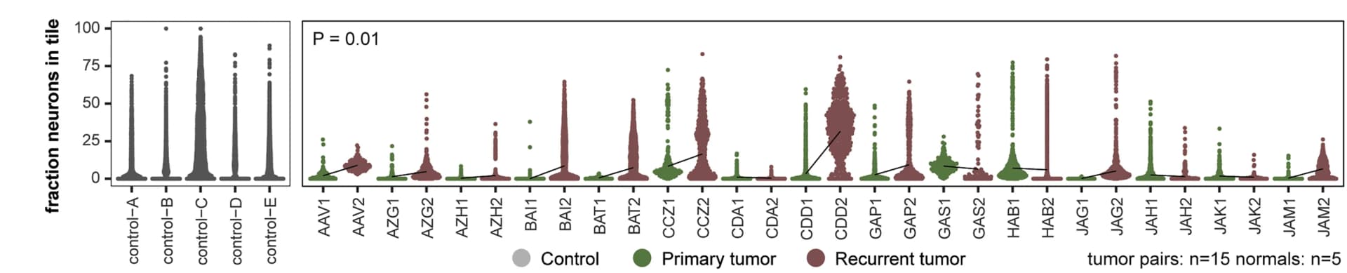 Open access visualization of Violin Plot, Scatter Plot, Line Plot, Neuron Fraction, Tiles