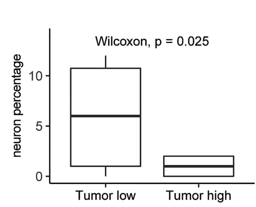 Open access visualization of Box Plot, Neuron Ratio, Tumor Regions, Primary Resections, Recurrent Resections
