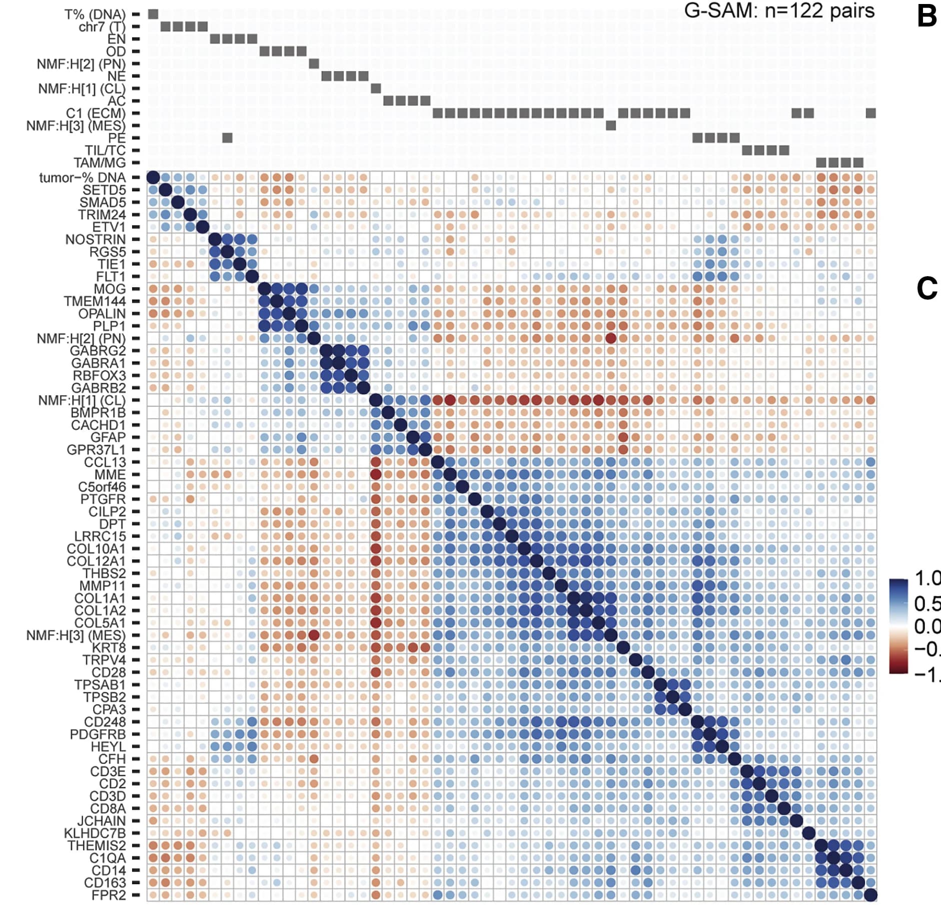 Open access visualization of Heatmap, Bubble Plot, G-SAM, Bulk Data, log2FoldChange