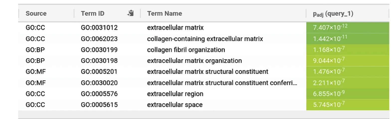 Open access visualization of Table Image, g:Profiler, C1 Genes