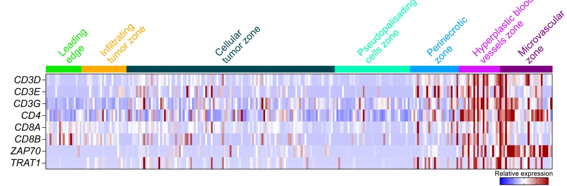 Open access visualization of Heatmap, T Cell Signature Gene, Anatomic Locations, Glioma