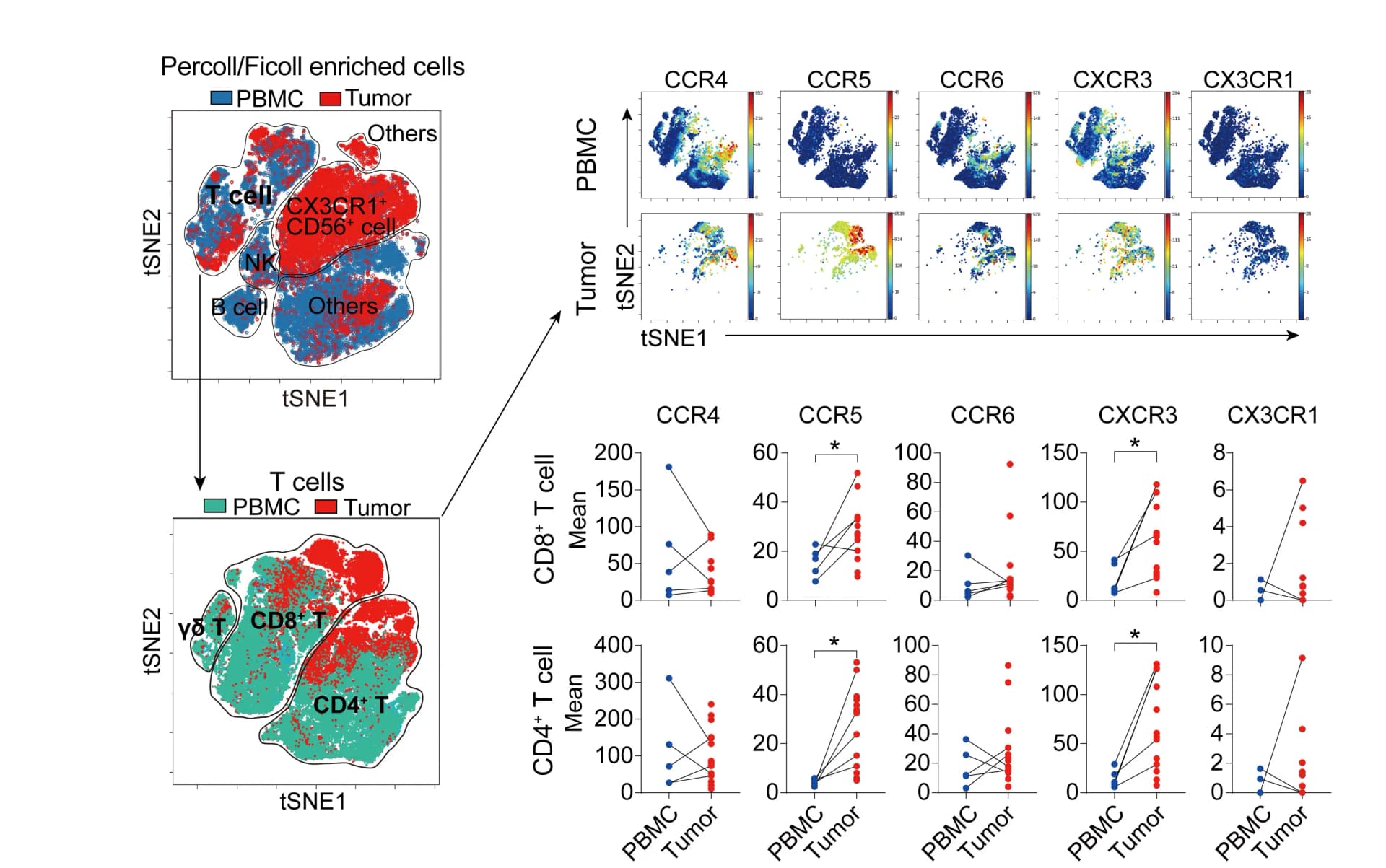 Open access visualization of Scatter Plot, Line Plot, UMAP, tSNE Plots, Immune Cells