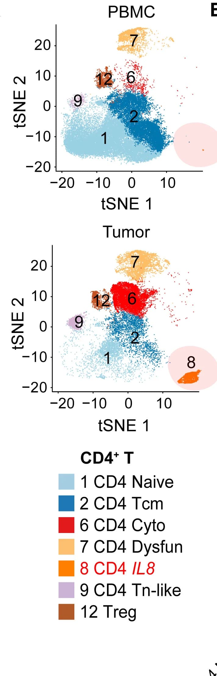 Open access visualization of Scatter Plot, UMAP, PCA, tSNE plots, PBMC