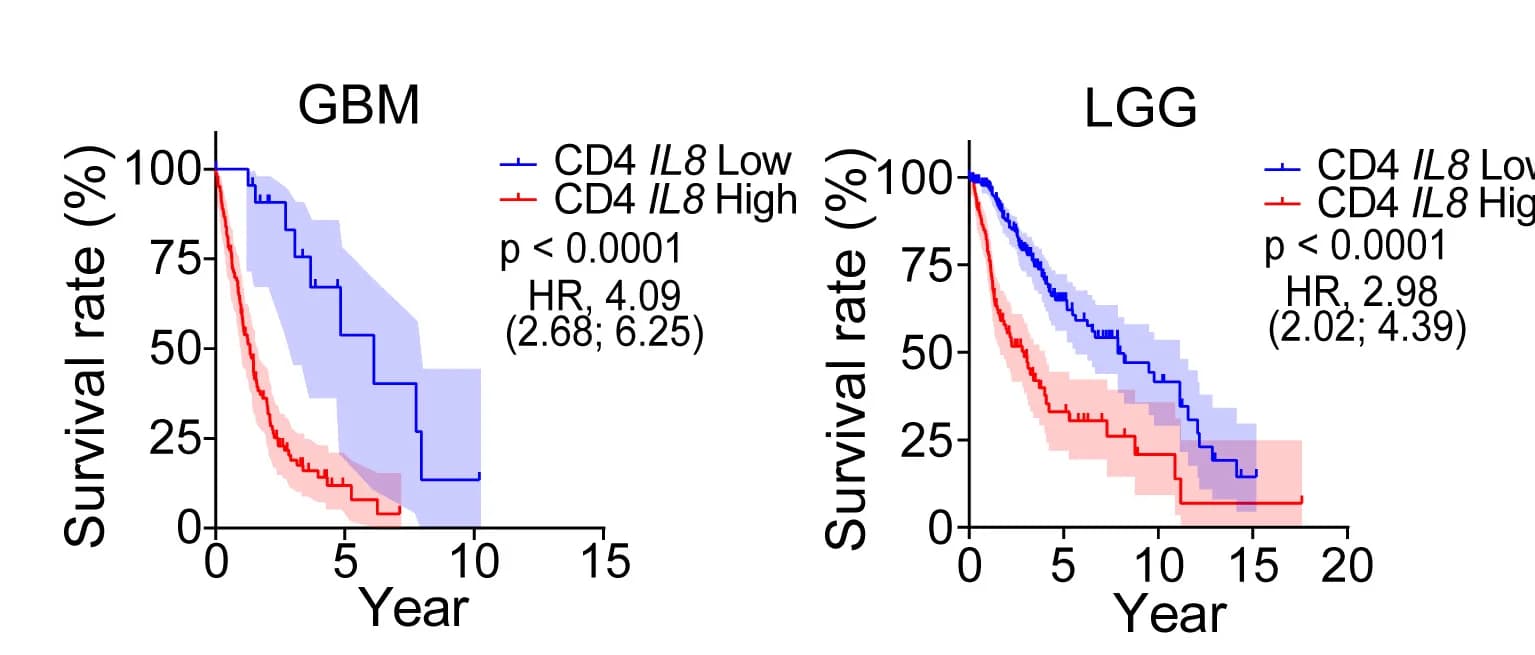 Open access visualization of Survival Curve, Line Step, Error Bars, Kaplan-Meier plots, Overall Survival