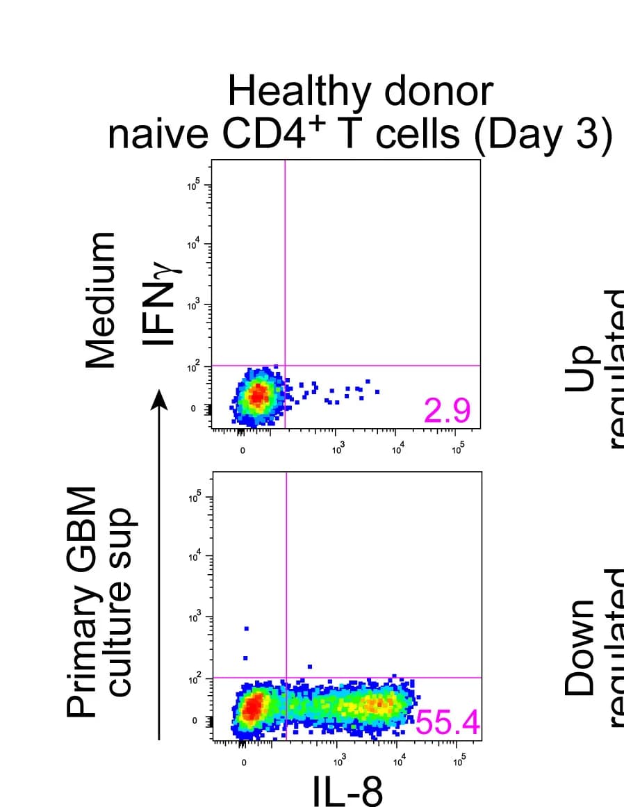 Open access visualization of Scatter Plot, CD4+ T Cells, Glioma Cells, IL-8 Expression, Flow Cytometry