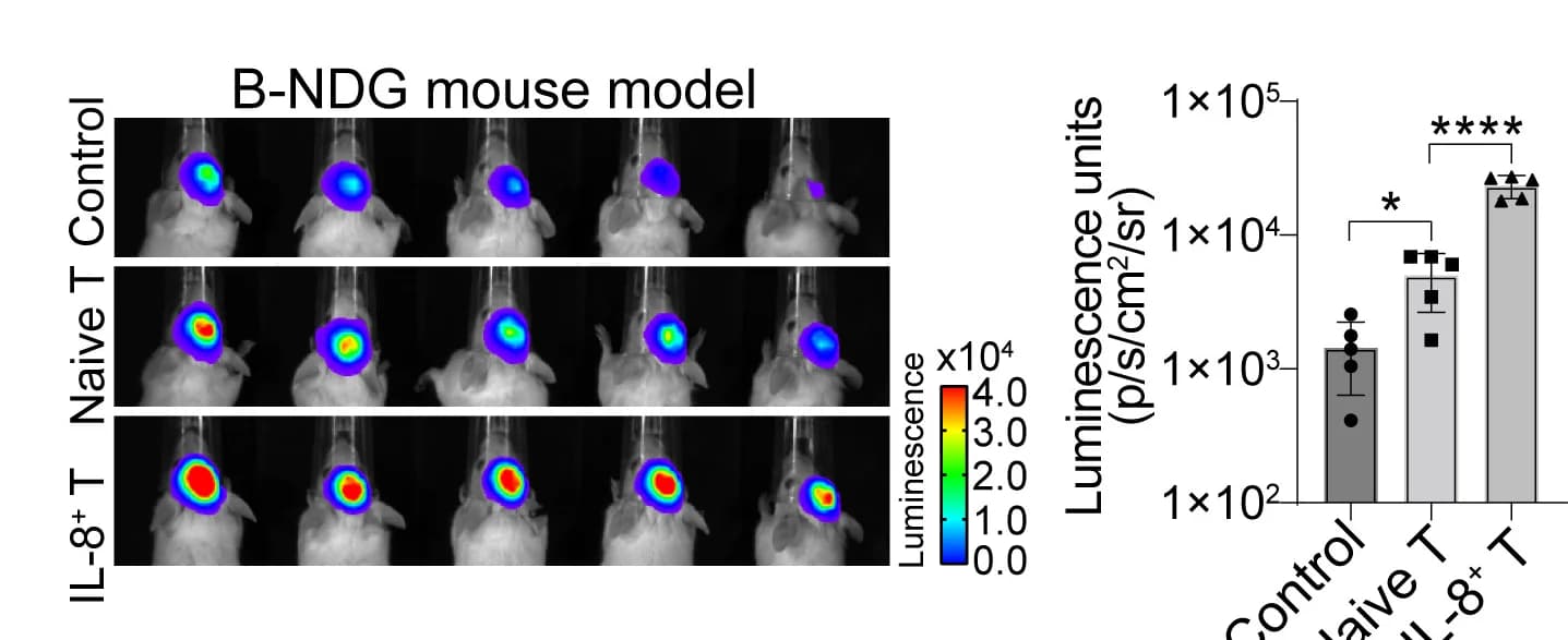Open access visualization of Bar Plot, Error Bars, Microscopy, In Vivo Bioluminescent Imaging, Tumor-Bearing Mice