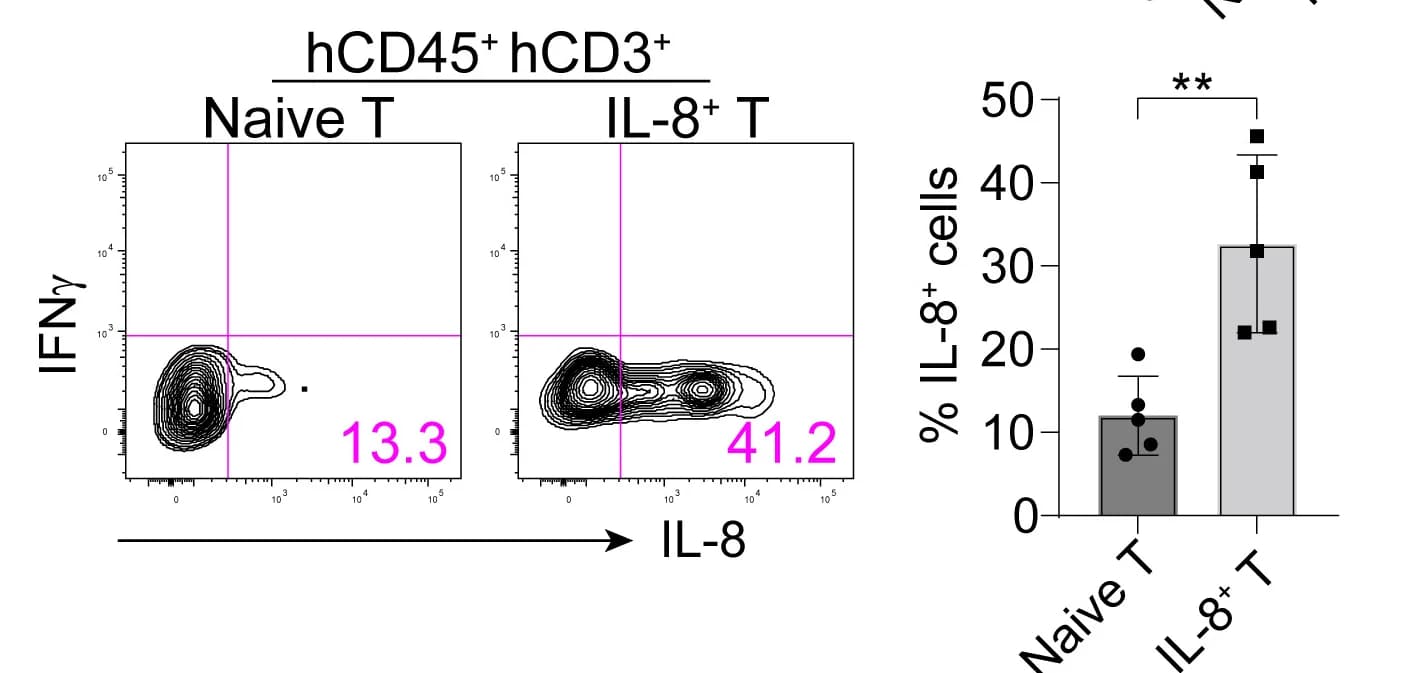 Open access visualization of Bar Plot, Error Bars, Scatter Plot, Flow Cytometry, IL-8 Expression