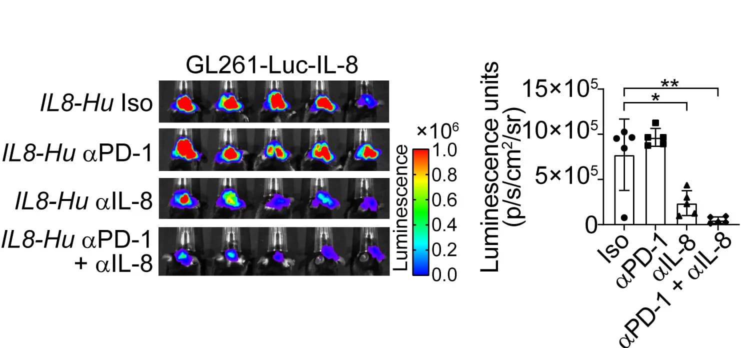 Open access visualization of Bar Plot, Error Bars, Photo, In vivo bioluminescent imaging, Tumor growth