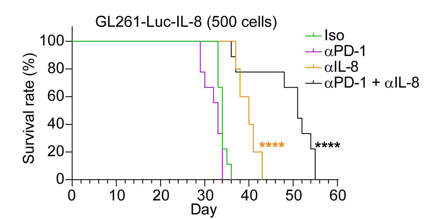 Open access visualization of Survival Curve, Line Step, Mice, Treatments, Log rank test