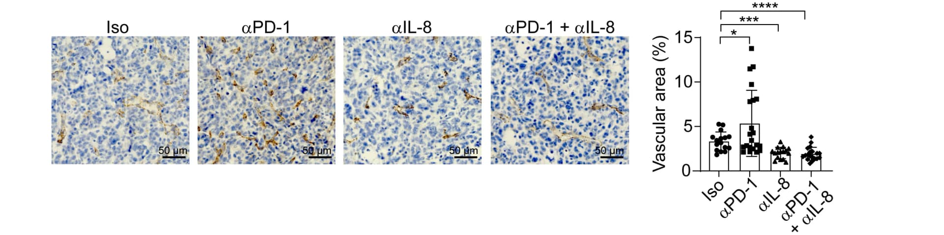 Open access visualization of Microscopy, Box Plot, Scatter Plot, IHC staining, Tumor tissue