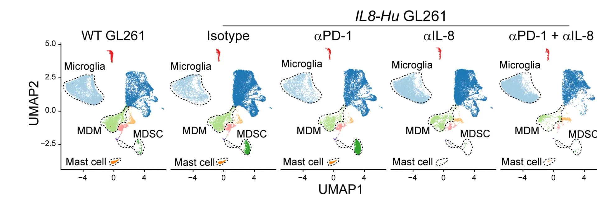 Open access visualization of UMAP, Scatter Plot, UMAP Plot, Stacked Bar Graph, Immune Cells