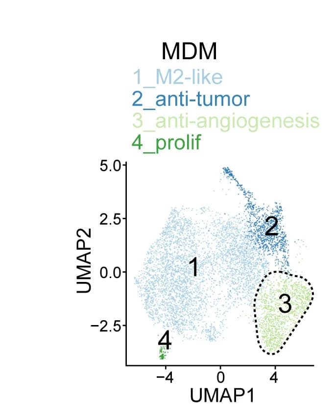 Open access visualization of UMAP, UMAP Plot, MDM Population