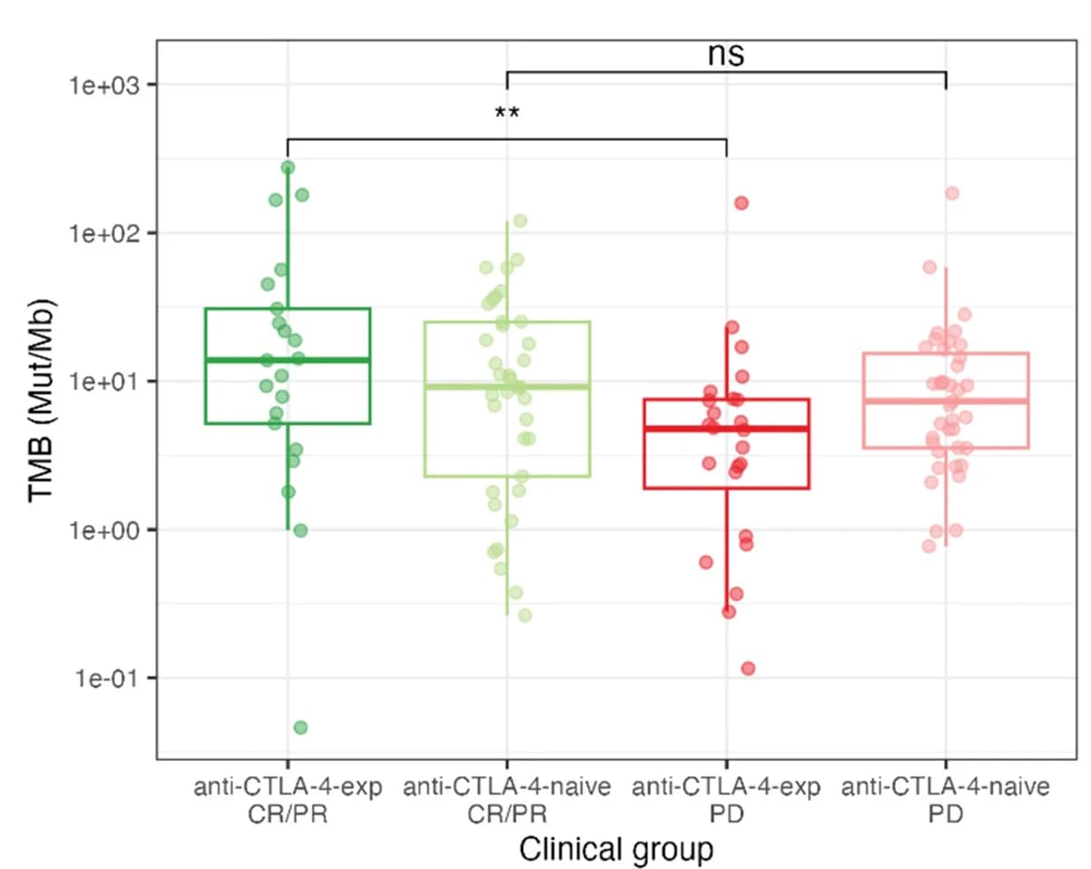Open access visualization of Box Plot, Scatter Plot, TMB, Nonsilent Mutations, Tumor Purity