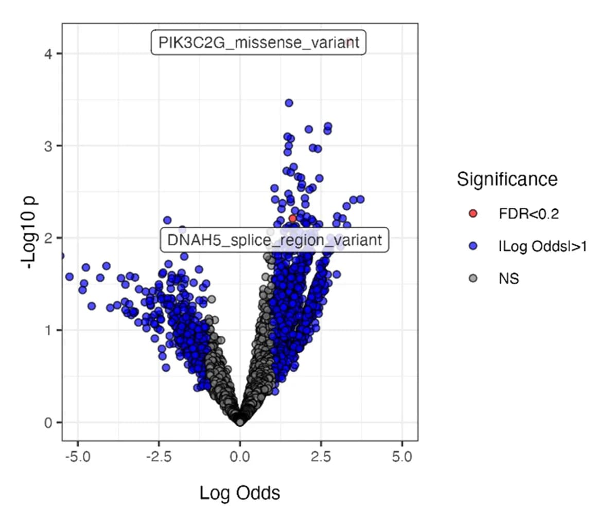 Open access visualization of Volcano Plot, Scatter Plot, Logistic Regression, Genes, Mutation Types