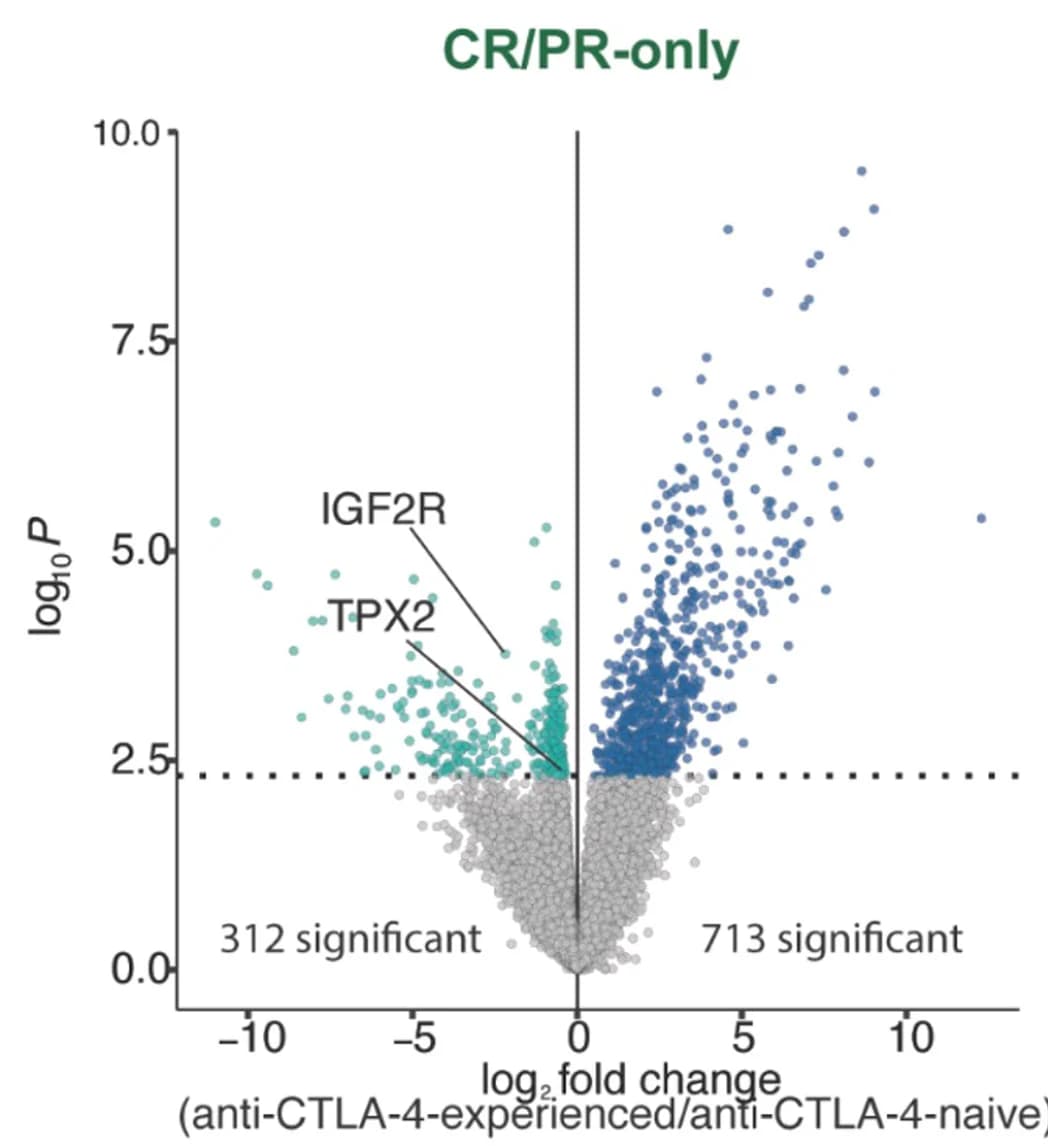 Open access visualization of Volcano Plot, Differential Expression Analysis, CTLA-4, Cutaneous Melanoma Tumors, CR/PR