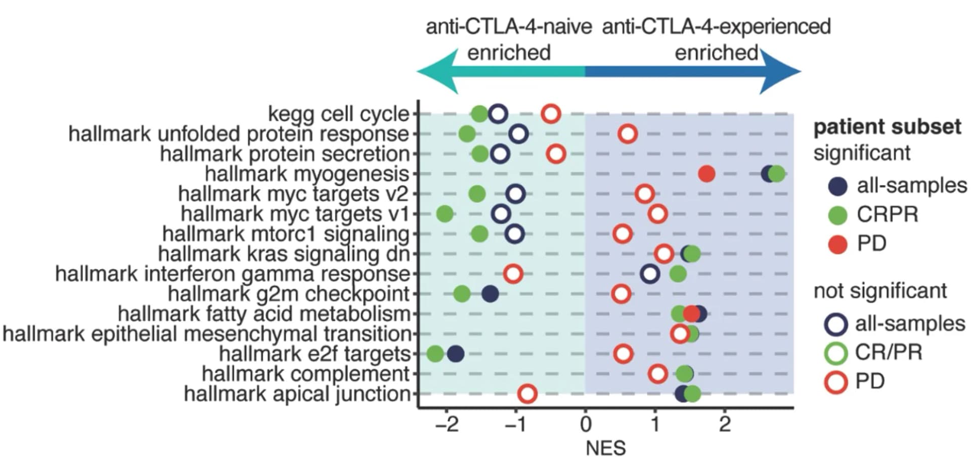 Open access visualization of Scatter Plot, Normalized Enrichment Score, GSEA, CTLA-4, Tumors