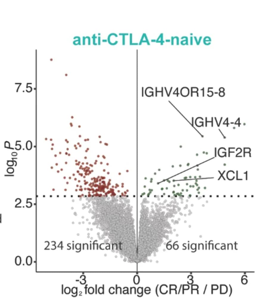 Open access visualization of Volcano Plot, Differential Expression Analysis, Tumor Cells, CR/PR, PD Patients
