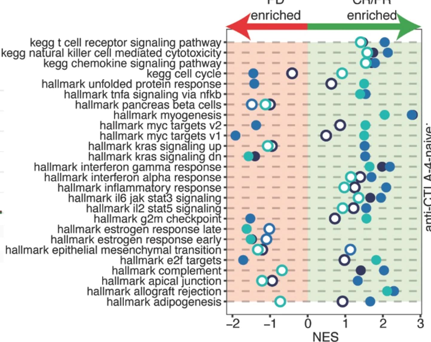 Open access visualization of Scatter Plot, NES Results, GSEA, CR/PR, PD Patients